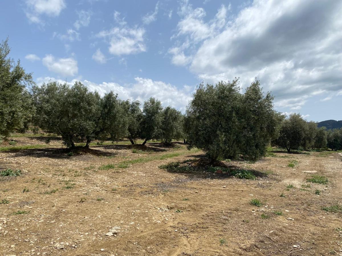 Cuartos Y Desayunos Hacienda Los Olivos Alora Buitenkant foto